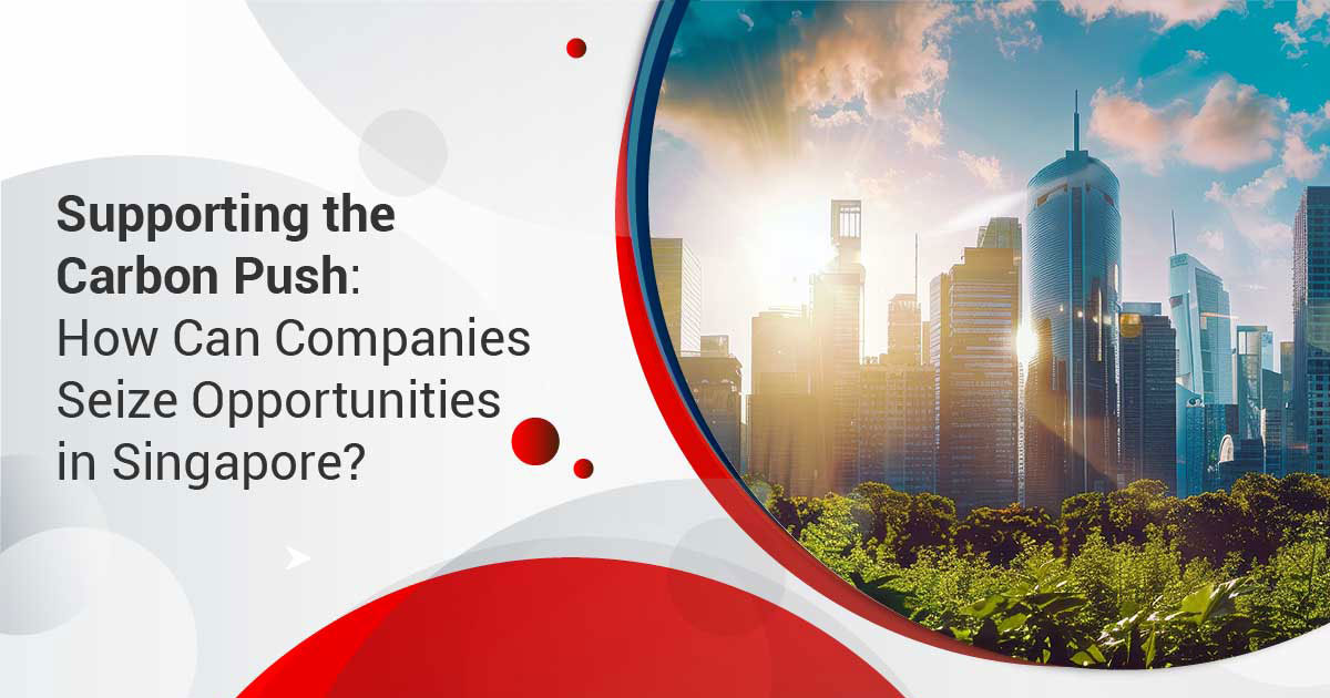 Supporting the Carbon Push: How Can Companies Seize Opportunities in Singapore?