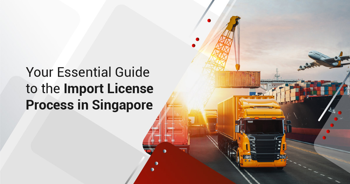 Your Essential Guide to the Import License Process in Singapore
